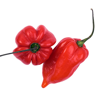 peper-habanero chili (Capsicum-chinense-Calita®-Red)