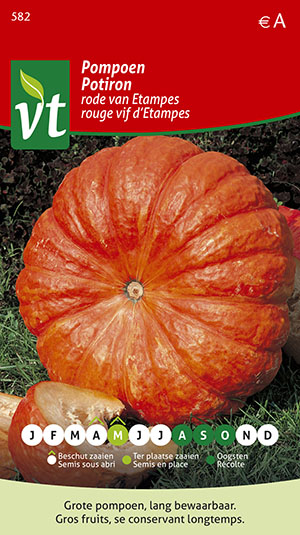 pompoen grote oranje-rode (Rode van Etampes)