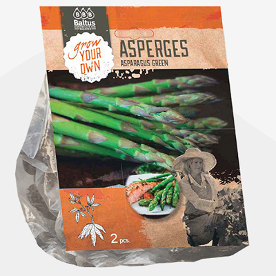 plant poot asperge (Asparagus-Groen-per-2)