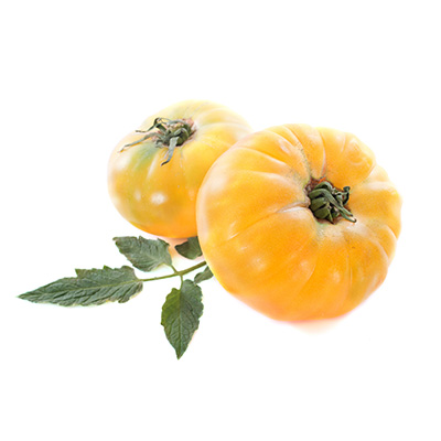 tomaat-ananas-grote-gele-vleestomaat-(Solanum-lycopersicum-var.-Pineapple)