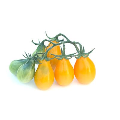 tomaat-peervormige-mini-tomaatjes-(Solanum-Lycopersicon-Esculentum-L.-var.-Yellow-Pearshaped)