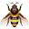 Bijen lokkend